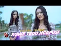 Download Lagu Safira Inema - Kowe Tego Ngapusi (Official Music Video)