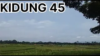 Download KIDUNG 45 | JAIPONG | SENI BUDAYA SUNDA MP3