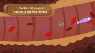 Fluxo Sanguíneo - Invasão do Vírus