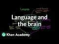 Language and the brain Aphasia and split-brain patients MCAT Khan Academy