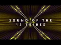 Sound Of The 12 Tribes DNA Activation