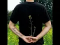 The Front Bottoms - Be Nice To Me (Original I Hate My Friends Version)
