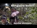 Download Lagu Bermalam di hulu sungai hujan deras siang malam survival Adventure 