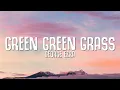 Download Lagu George Ezra - Green Green Grass (Lyrics)