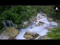 Download Lagu Jarico - Island [NCS BEST OF] | NCS music no copyright |