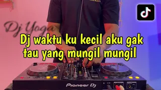 dj waktu ku kecil aku gak tau yang mungil mungil dj viral 2025