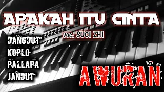 Download APAKAH ITU CINTA(IPHANK) COVER TANPA KENDANG || AWURAN MP3