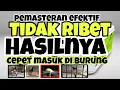 Download Lagu Cara pemasteran murai batu agar cepat masuk