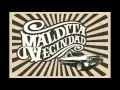 MALDITA VECINDAD - DON PALABRAS (Lyrics)(Español)