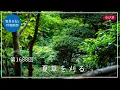 Download Lagu 第1688回「夏草を刈る」2025/8/21【毎日の管長日記と呼吸瞑想】｜ 臨済宗円覚寺派管長 横田南嶺老師