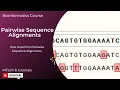 Pairwise Sequence Alignment Bioedit EMBL MEGA X
