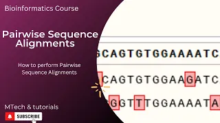 Pairwise Sequence Alignment Bioedit EMBL MEGA X
