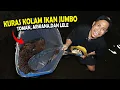 Download Lagu NEKAT!! KURAS IKAN MONSTER JUMBO TOMAN, ARWANA, DAN LELE DIKOLAM BOS BOS QU
