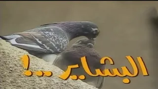 مقدمة مسلسل البشاير 