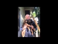Dog Rescue Newcastle Adopt Foster Volunteer Donate