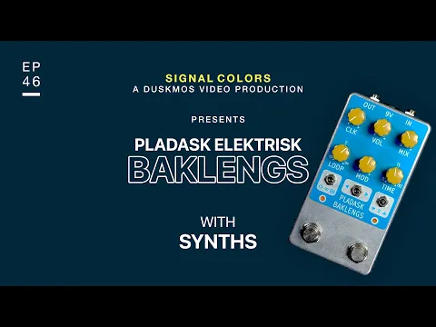 Pladask Etterslep Granular Delay | Delicious Audio