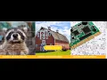Skyhawk Hub and Sensor Overview Previously known as Rodent Recon