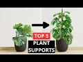 The 5 Best Plant Supports on Amazon 2025