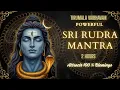 Lagu Powerful 2-Hour Rudra Mantra Chanting | Lord Shiva's Divine Blessings | Spiritual Awakening