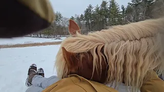 A Naptime First With Clancy 