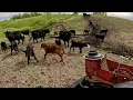 Day In The Life Of A South Dakota Cattle Rancher