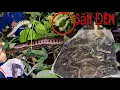 Download Lagu ACTV / Soi Đêm Săn Rắn Cặp Kênh Đồng Ranh Biên Giới Quá Trời Rắn 