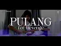 Pulang - for Revenge Cover by Eve Shena #eveshenaofficial #forrevenge #emo #cover 