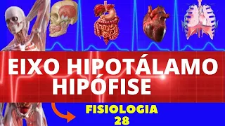 EIXO HIPOTÁLAMO E HIPÓFISE (SISTEMA ENDÓCRINO) - FISIOLOGIA HUMANA - FISIOLOGIA ENDÓCRINA -HORMÔNIOS