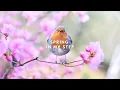 Download Lagu Spring In My Step - Good Vibes Happy Music by Silent Partner