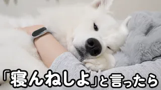 「寝んねしよ」の一言でいつも寝室まで来てこうなります…