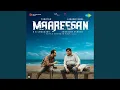 Download Lagu Theme of Maareesan