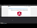 DNN 9 x and angular part