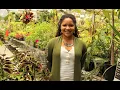 Amirah Mitchell Preserving History Through Seeds