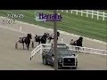 HHP Qualifiers 7 26 25