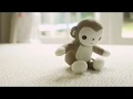 Best Kids Mattress - 5 Little Monkeys