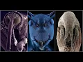 Wonderful Electron Microscope Images