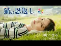 Download Lagu 【猫の恩返し】 風になる / つじあやの cover by Seira