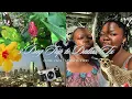 3 Day Trip to Dallas TX Chill Vacay Travel Vlog Must See Attractions Travel Recs Reviews