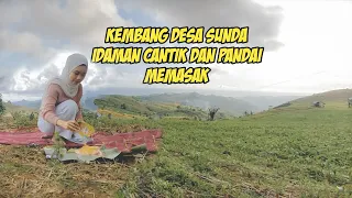 Download Gadis Desa Sunda IDAMAN, Cantik dan Pandai Memasak. Ngeliwet Di Perkebunan | Suasana Pedesaan Sunda MP3