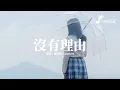 Download Lagu 楊胖雨/Lambert - 沒有理由『沒有人可以去等待 不知不覺的放開你，我們都沒有那勇氣 Baby I’m sorry I’m so lonely。』【動態歌詞MV】