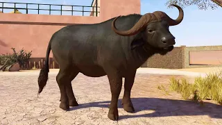 Planet Zoo 2 - Cape Buffalo Gameplay (PS5 UHD) [4K30FPS]