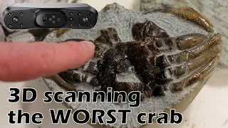 The worst fossil crab - making a 3D model (Revopoint POP 4 3D Scanner)