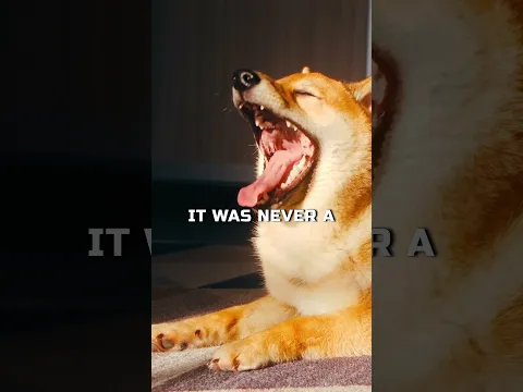 HISTORY OF THE SHIBA INU