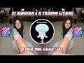 DJ KISINAN 2 X TRESNO LIYANE || DJ BOLA BALI NGGO DOLANAN X TRESNO LIYANE VIRAL TIK TOK 2024 !