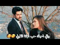 قيس هشام اني احبك حب اهلنه الاولي