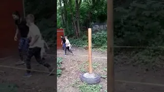                     دندنها