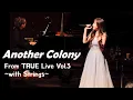 Download Lagu TRUE - Another Colony LIVE 【전생했더니 슬라임이었던 건에 대하여 ED】