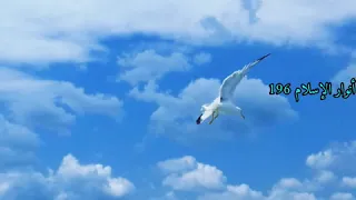 أنشودة وصف النبي المصطفى كاملة للمنشدة عنان الخياط 