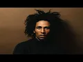 Bob Marley - Ambush in the night - Rare Demo Extended Lyrics
