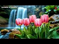 Top 100 Christian Gospel Songs 🎶 Praise and Worship Songs 2025 ✝ Best Morning Worship Songs Playlist